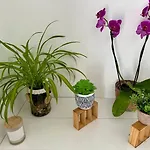Maison Rénovée, En Et Au Calme ! *